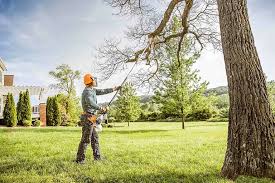  Trafford, PA Tree Care Pros